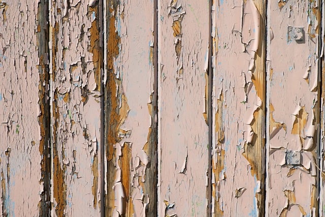 sagebaviZhv2Cnn1s9h83