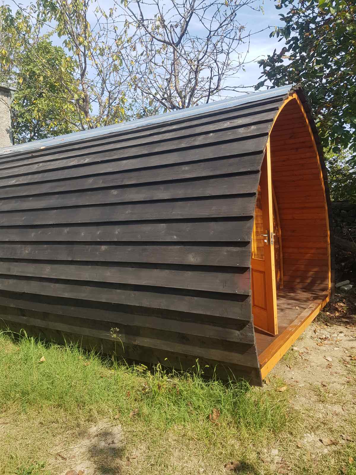 xis-lazuri-sunusi-shavi